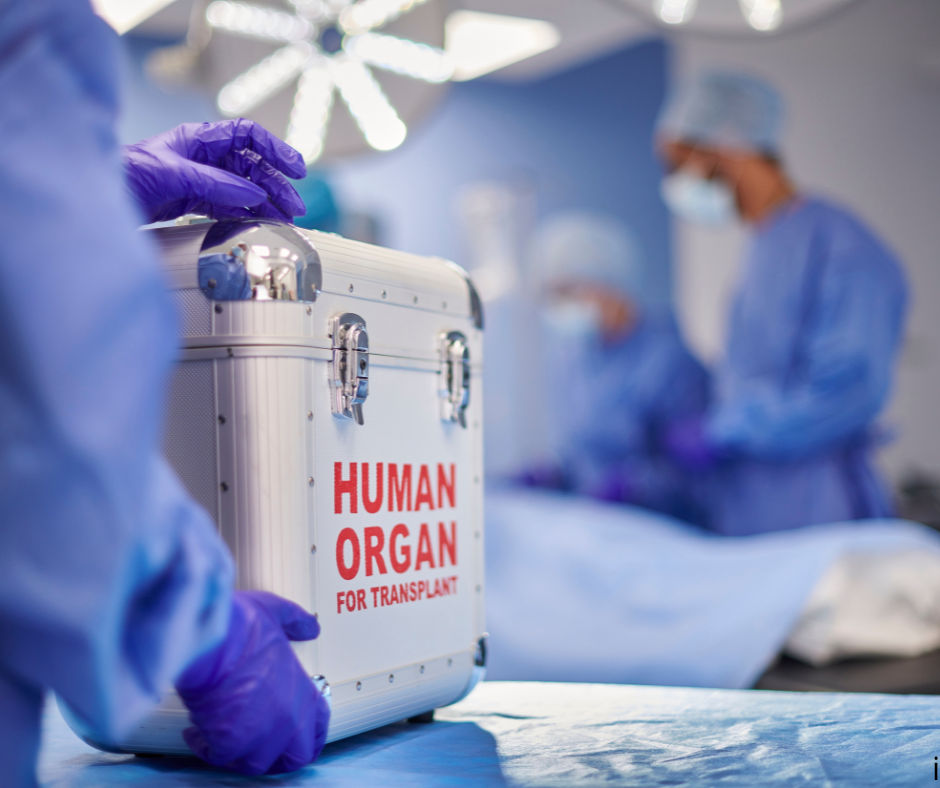 sdklksds.png